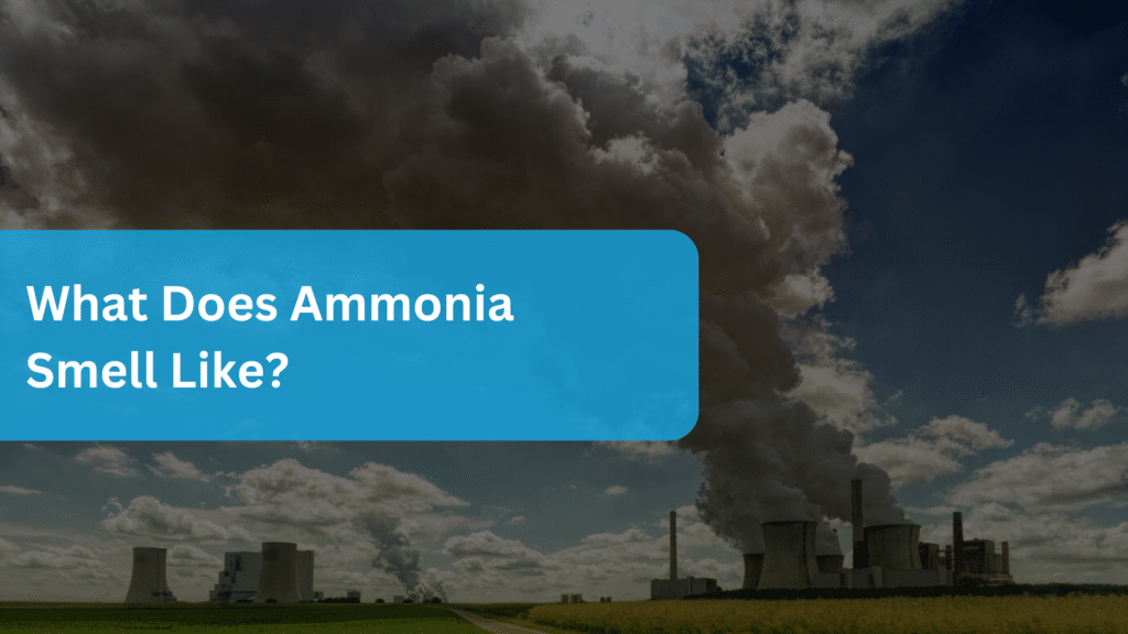 What Does Ammonia Smell Like? | Rockall Safety